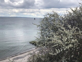 Appartamento per vacanze Bliesdorf Documento 41