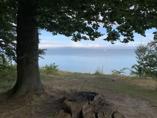 Appartamento per vacanze Bliesdorf Documento 42