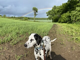 Appartamento per vacanze Bliesdorf Registrazione all'aperto 9