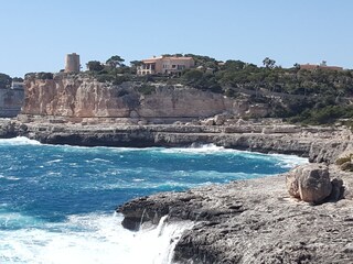 Tenuta Ses Salines Ambiente 40