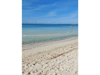 Tenuta Ses Salines Ambiente 39