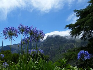 Villa Ponta do Sol Ambiente 39