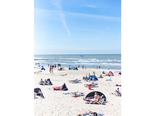 Chalet Petten Omgeving 24