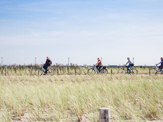 Chalet Petten Ambiente 55