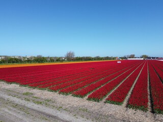 Casa per le vacanze Sint Maartenszee Ambiente 60