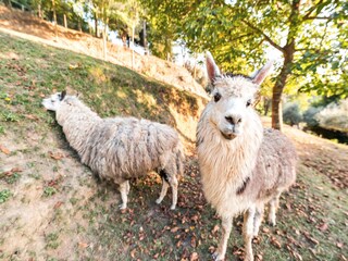 Casa de vacaciones Forcoli Grabación al aire libre 12