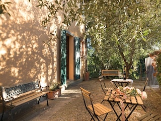 Ferienhaus Forcoli Außenaufnahme 5