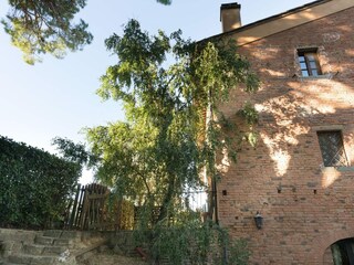 Ferienhaus Forcoli Außenaufnahme 7