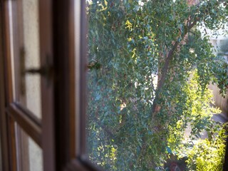 Holiday house Forcoli  36