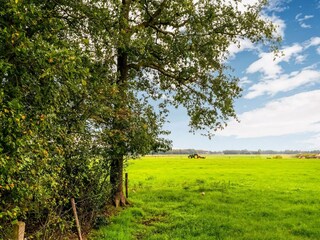 Casa de vacaciones Rheezerveen Grabación al aire libre 8
