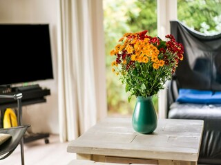 Vakantiehuis Rheezerveen  36