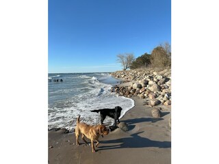 Auch für Vierbeiner der perfekte Ort