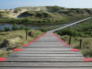 Bohlenweg in den Dünen