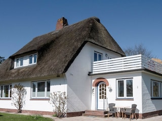 Möwe unter Reet mit Balkon