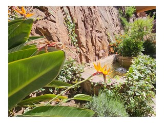 Villa Theoule-sur-Mer Buitenaudio-opname 44