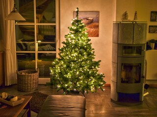 Casa per le vacanze Ummanz Caratteristiche 21