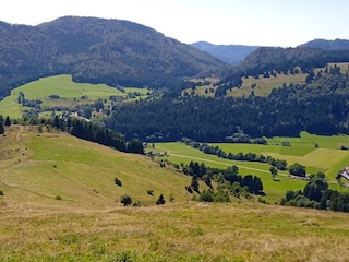 Südschwarzwald...mittendrin das Hotzenhaus