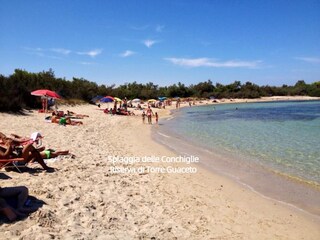 Casa per le vacanze San Michele Salentino Ambiente 32