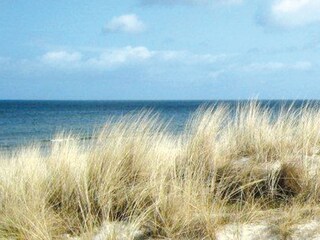 Strand Düne