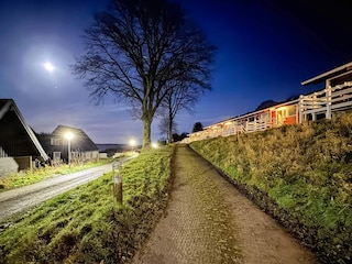 Ferienhaus Sønderballe Außenaufnahme 7