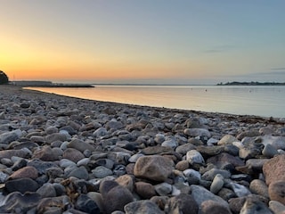 Ferienhaus Sønderballe  13