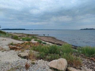 Ferienhaus Sønderballe  37