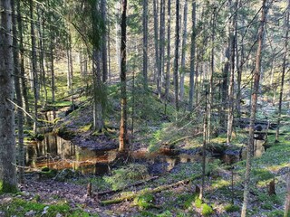 Holiday house Åsbro  14