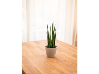 Vakantieappartement Gargazon Kenmerken 11