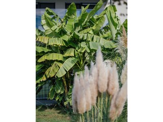 Appartamento per vacanze Gargazon Registrazione all'aperto 5