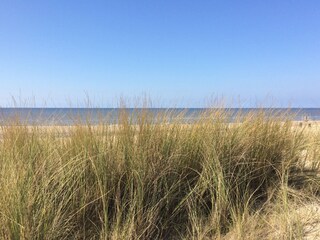 Vakantiehuis Noordwijk Omgeving 37