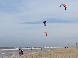 Vakantiehuis Noordwijk Omgeving 36