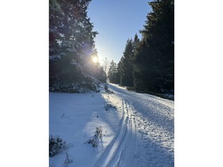 Maison de vacances Winterberg Environnement 39