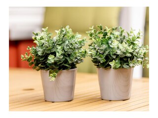 Appartamento per vacanze Greetsiel  47