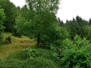 Apartamento Willingen Entorno 27