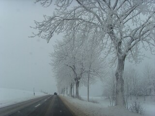 Appartement Willingen Omgeving 33