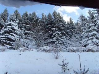 Appartamento Willingen Ambiente 38