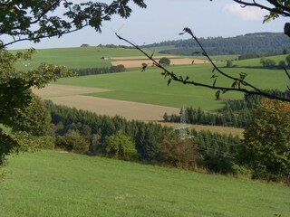 Appartement Willingen Environnement 34
