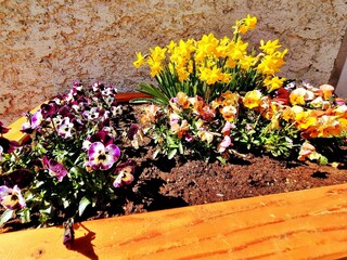 Maison de vacances Muhr Enregistrement extérieur 5