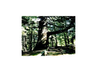 Ferienhaus Muhr Umgebung 26