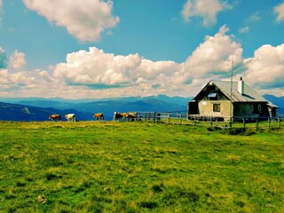 Casa per le vacanze Muhr Ambiente 26