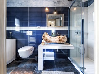 Villa Kanfanar Caratteristiche 32