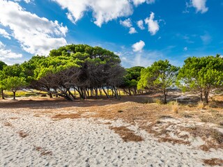 Ferienhaus La Caletta Umgebung 26