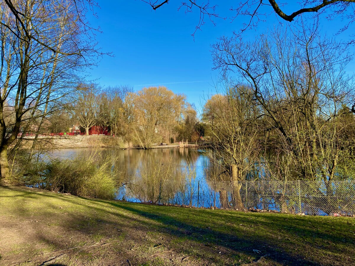 Park mit See