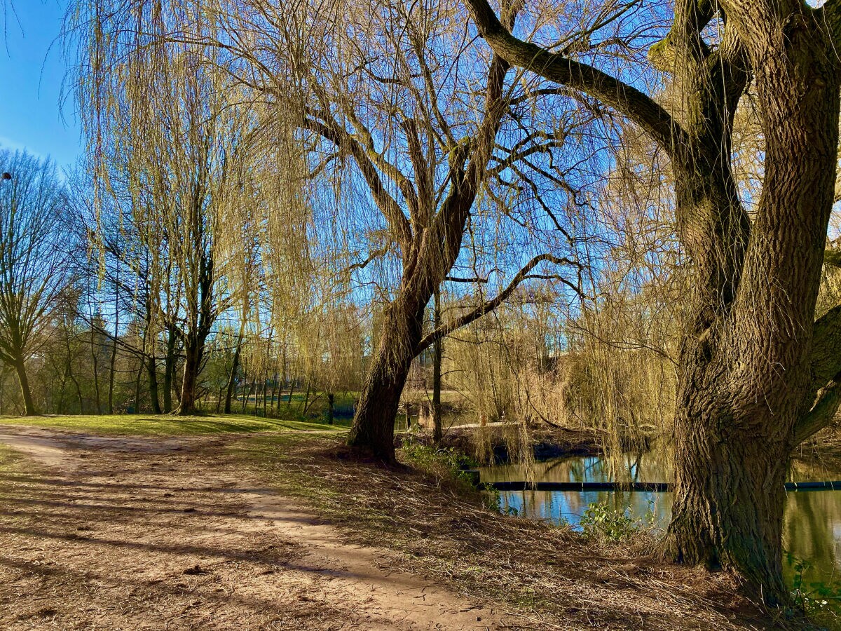 Park direkt vor der Tür