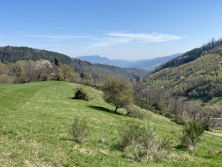 Umgebung des Bauernhofes im Fruehling