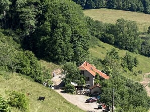 Ferme La Prairie D'Hergauchamps - Sainte Marie Aux Mines - image1