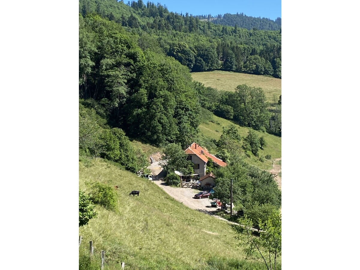 Boerderij Saint Marie Aux Mines Buitenaudio-opname 1