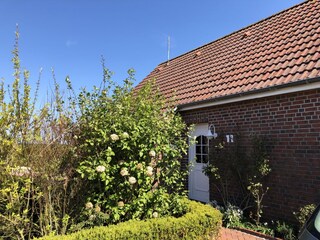 Ferienhaus Greetsiel Außenaufnahme 4