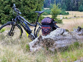 Vakantiehuis Gardsjö  31