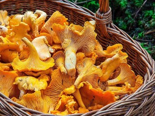 Vakantiehuis Gardsjö  14